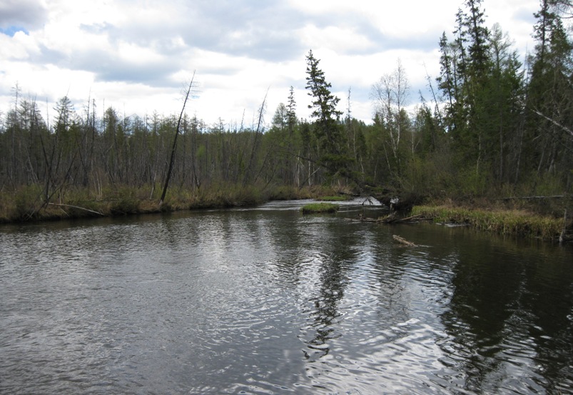 Re: Другие речки 2013г.