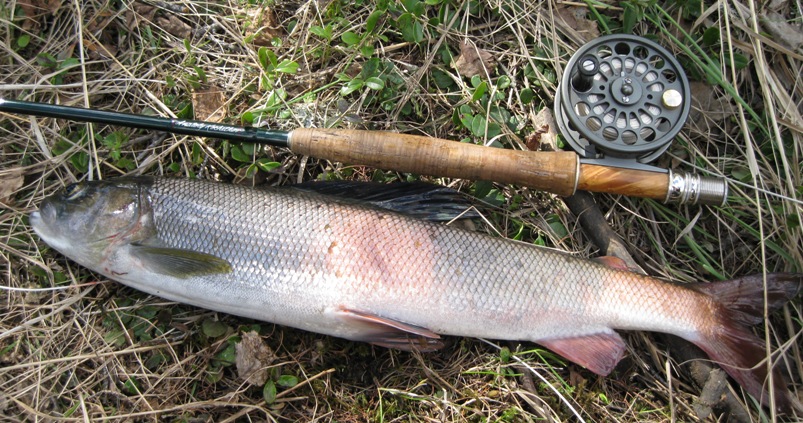 Re: Другие речки 2013г.