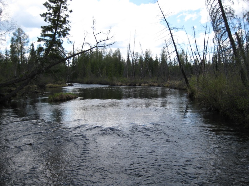 Re: Другие речки 2013г.