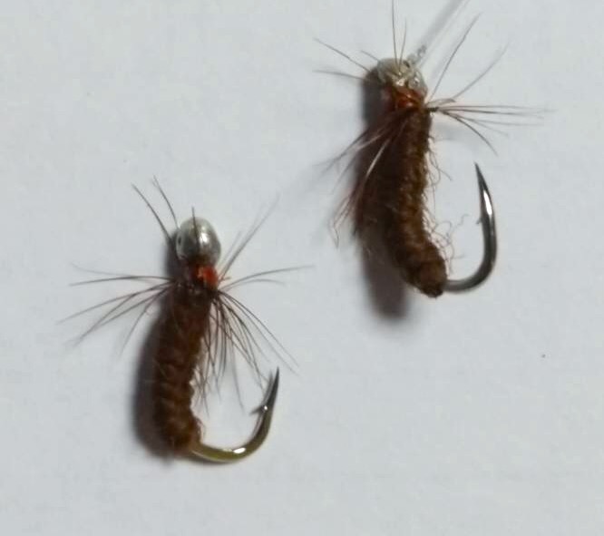 За хариусом на таежную речушку