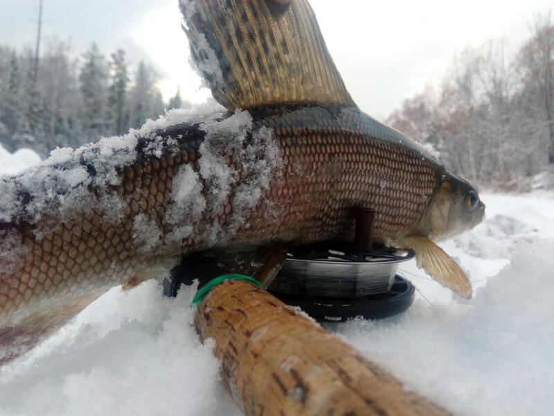 Малые  речки