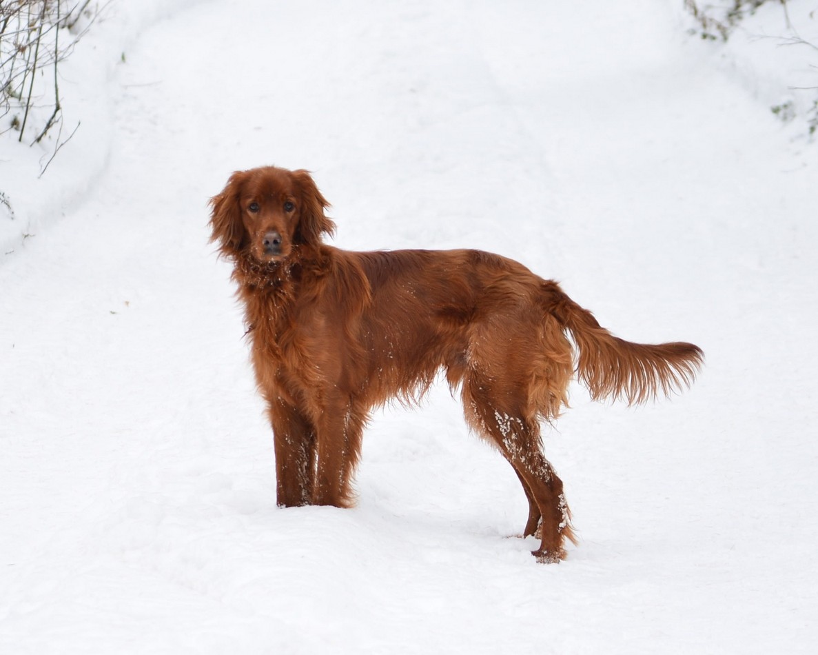 Флудим здесь