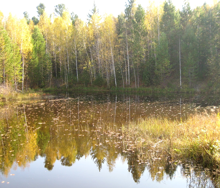 Таежные речки 2016