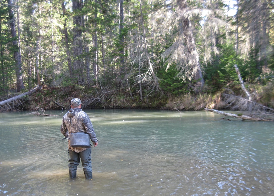 Таежные речки 2016