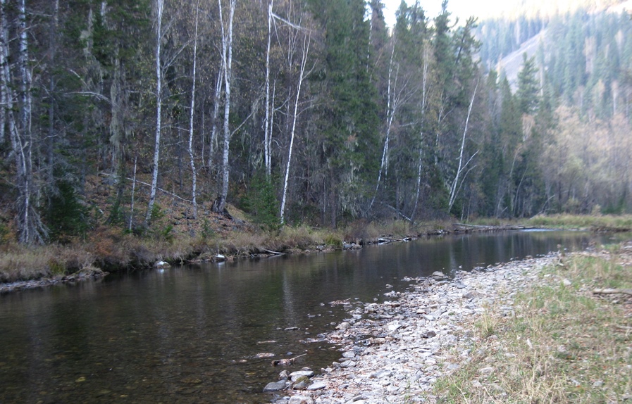 Таежные речки 2016