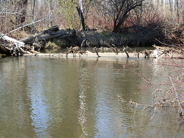 р.Ушаковка сезон 2013