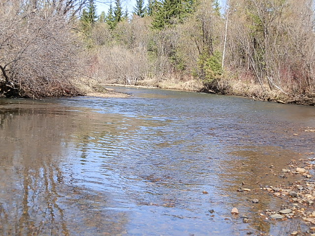 р.Ушаковка сезон 2013