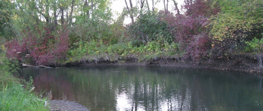 р.Ушаковка сезон 2013