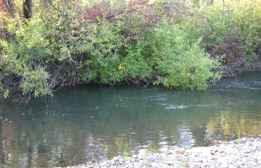 р.Ушаковка сезон 2013