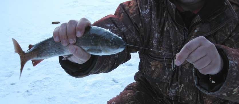 Малые речки