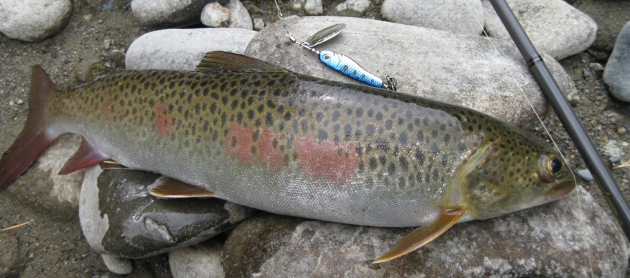 Рыбалка на реке Урик.Приток р. Б. Белая