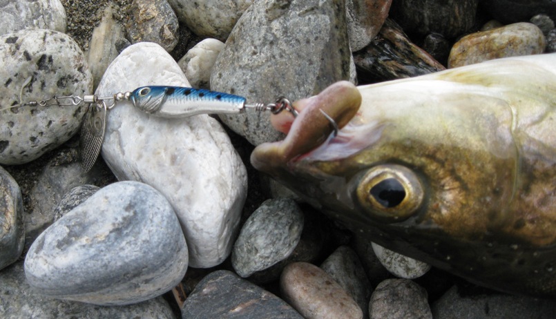 Рыбалка на реке Урик.Приток р. Б. Белая