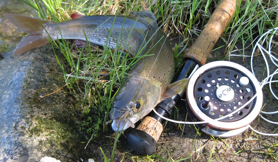 Возвращение Будулая .Вольный 2015