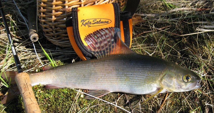 Возвращение Будулая .Вольный 2015