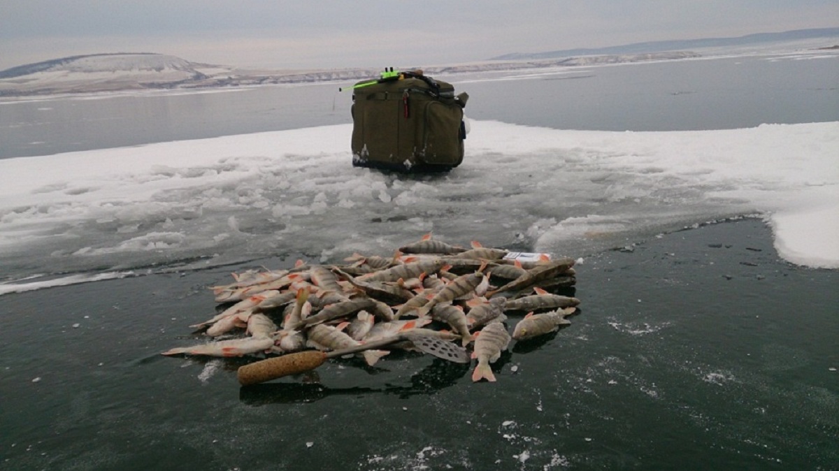 Братское вдхр.